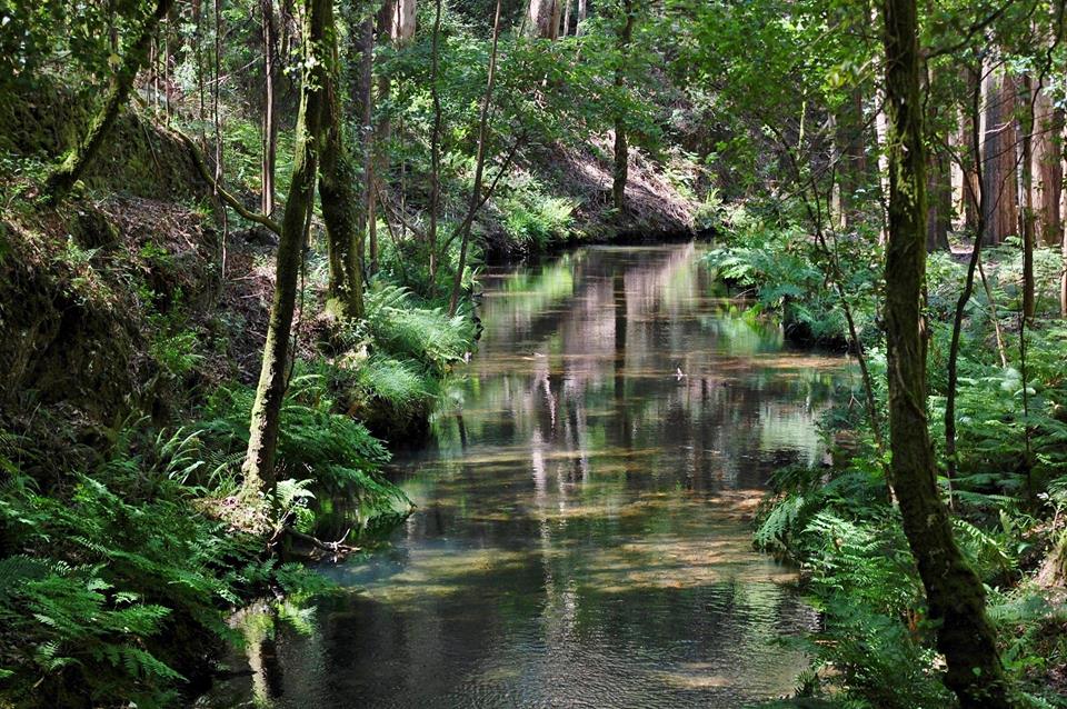 Parque moinhos 2