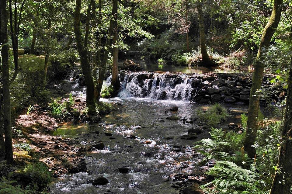 Parque moinhos 3