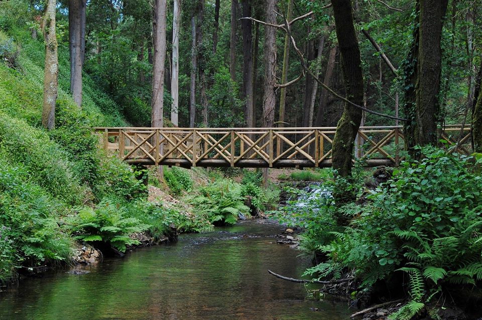 Parque moinhos